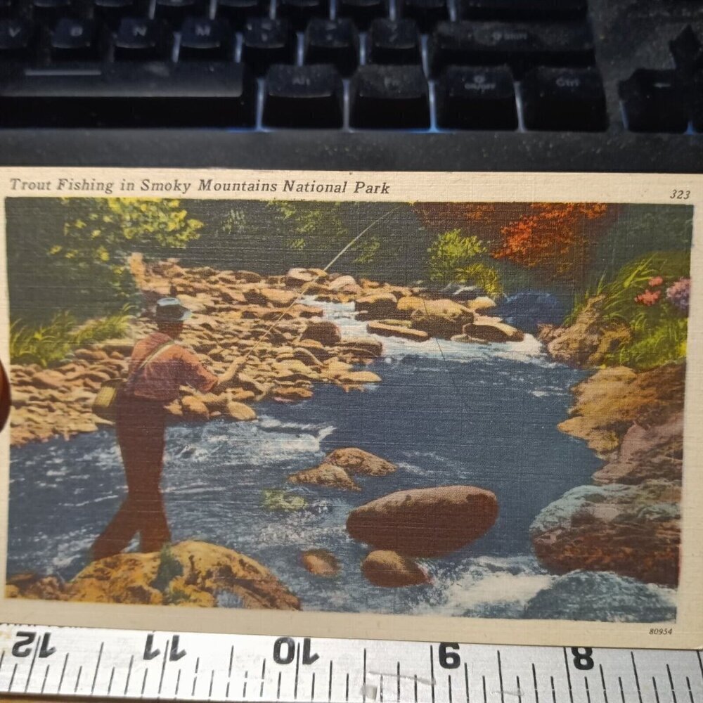 Trout Fishing in Smoky Mountains National park - Vintage Postcard, Unposted